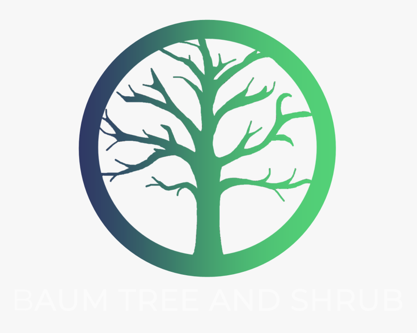 Shrubs Plan Png, Transparent Png