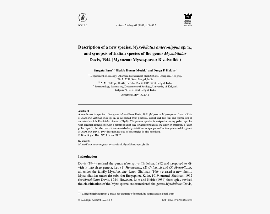 Document, HD Png Download