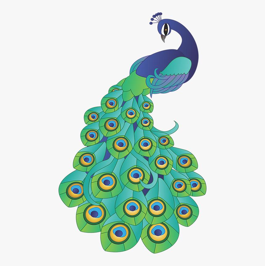 Peacock Stock Vector Hd, HD Png Download
