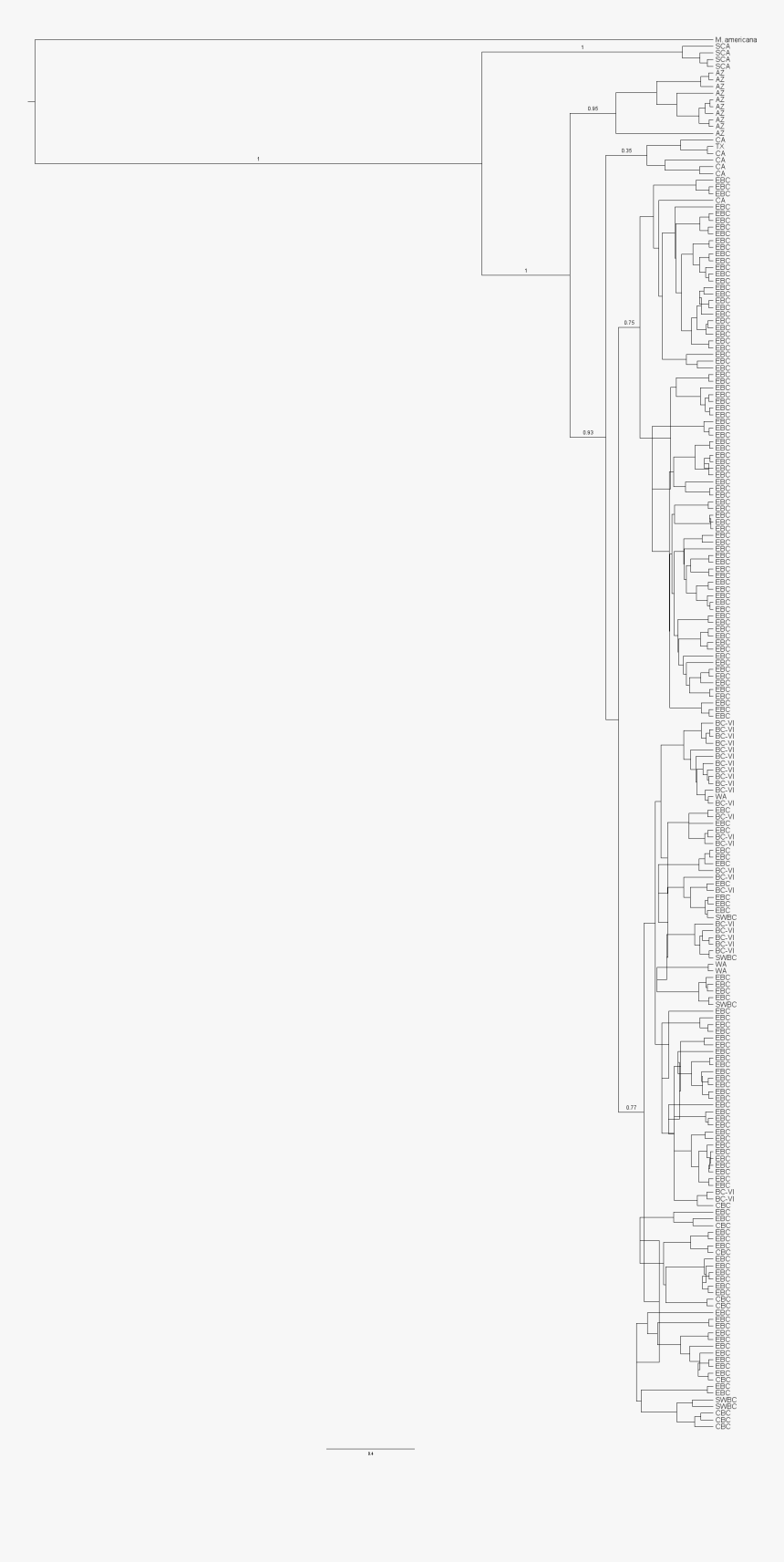 Document, HD Png Download