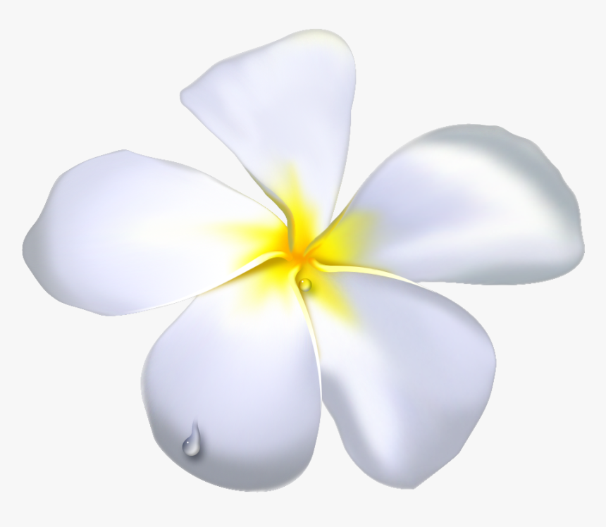 Flower Petal Drawing Temple Clip Art - White Background Temple Flower, HD Png Download