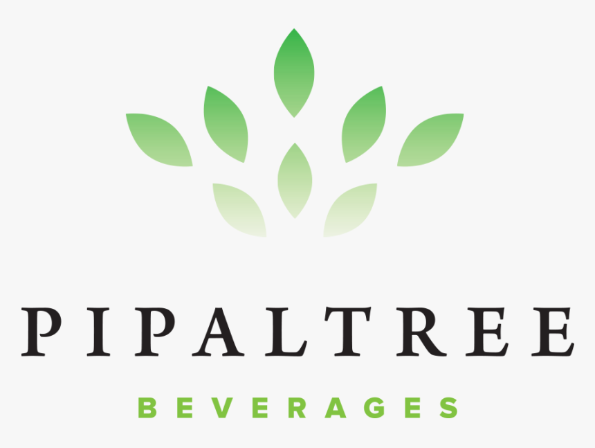 Shell Foundation, HD Png Download