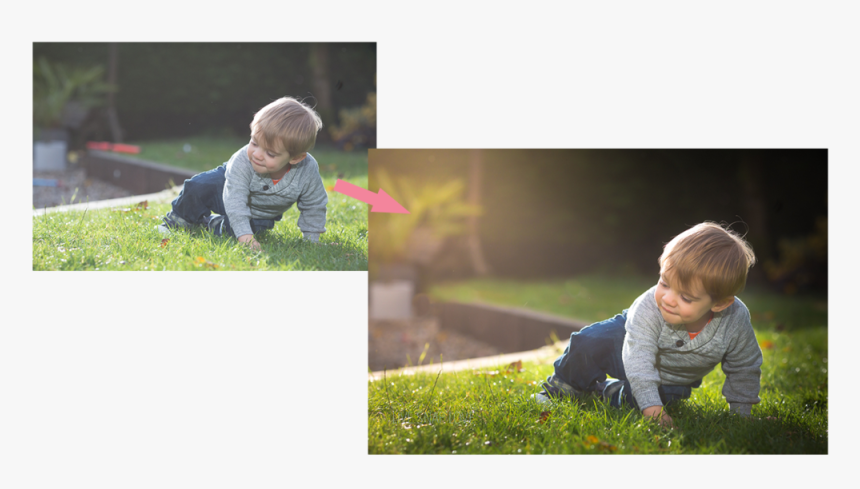 02 - Photograph, HD Png Download