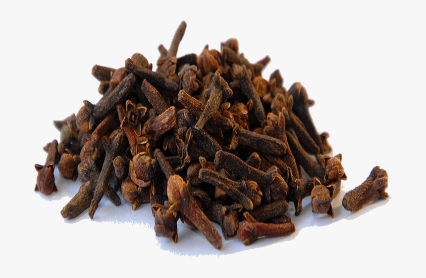 Cinnamon Vector Clove - Cloves Hd Png Transparent Background, Png Download