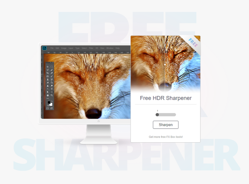 Red Fox, HD Png Download