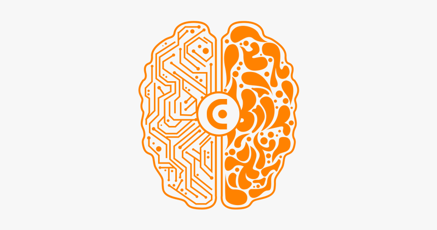 Web Design Development Brain - Left Brain Right Brain Transparent, HD Png Download