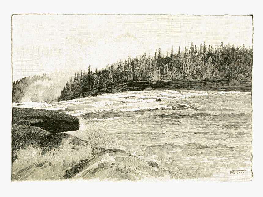 At The Brink Of The Grand Falls - Tree, HD Png Download