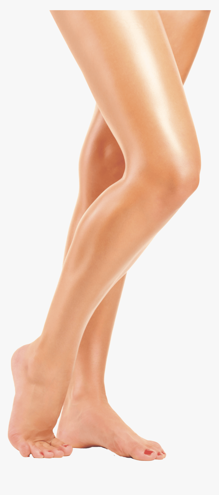 Long Women Legs - Legs Png, Transparent Png
