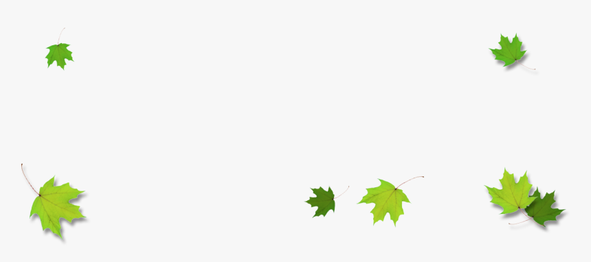 Leaf Borders Png - Green Leaf Colour Border, Transparent Png