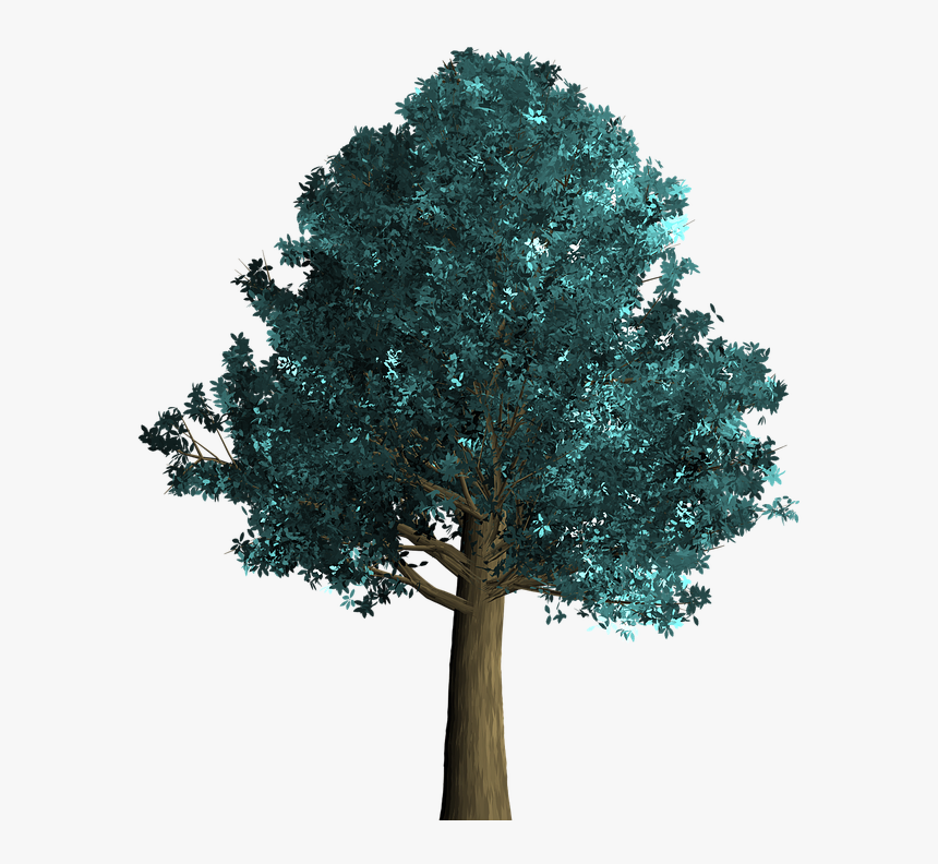 Tree, Decorative, Green, Foliage, Branch - Tree, HD Png Download