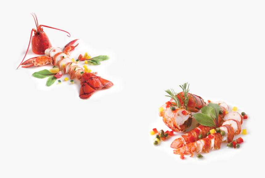 Parallax Lobster Plate - Plate Of Lobster Png, Transparent Png