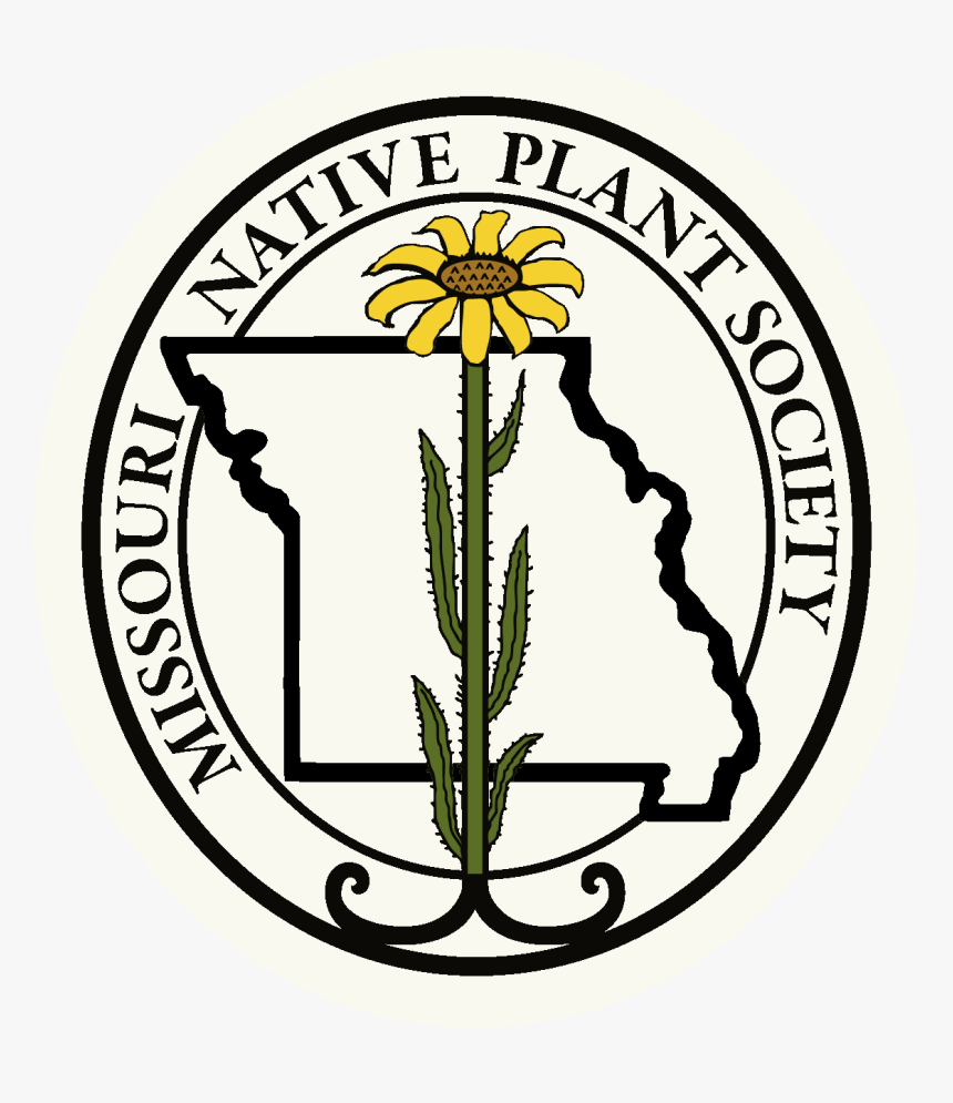 Transparent Wild Plants Png - Brooklyn Latin School Logo, Png Download