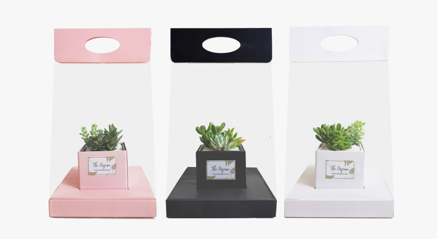 Bonsai, HD Png Download