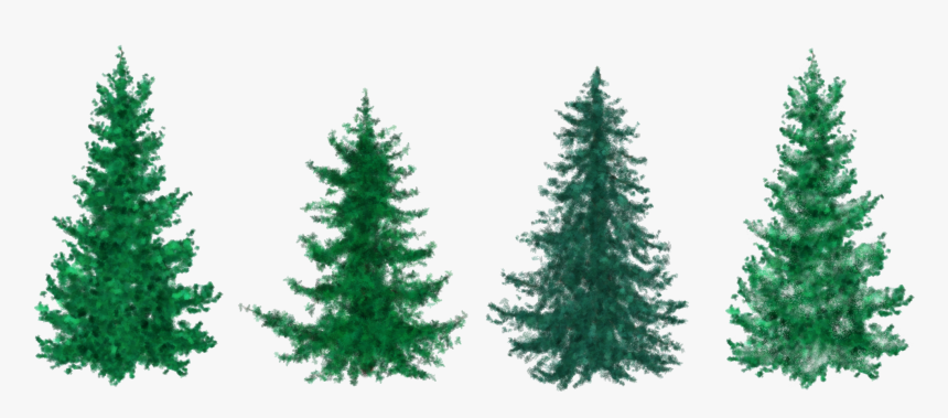 Fir Tree Clipart Group Tree - Fir Christmas Tree Clipart, HD Png Download