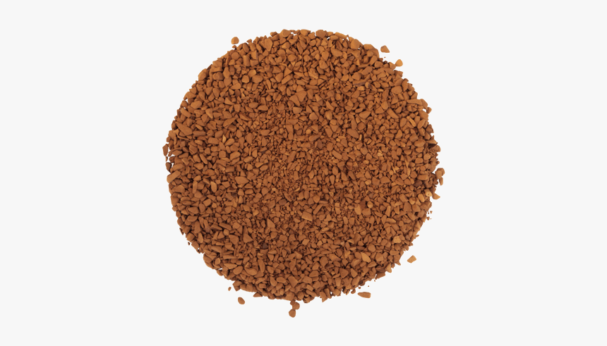 Seed, HD Png Download