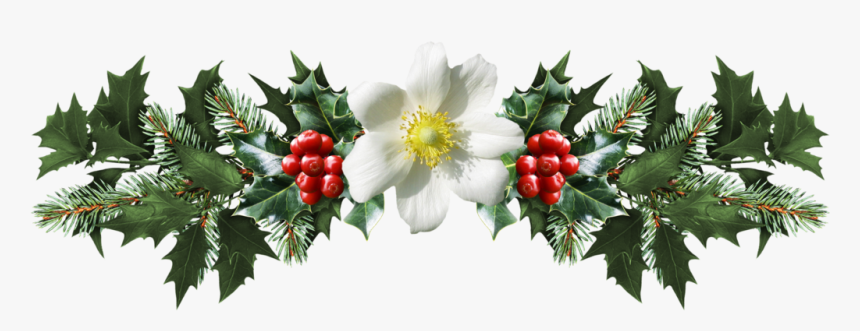 Clip Art Mistletoe Png - Mistletoe Branch Png, Transparent Png