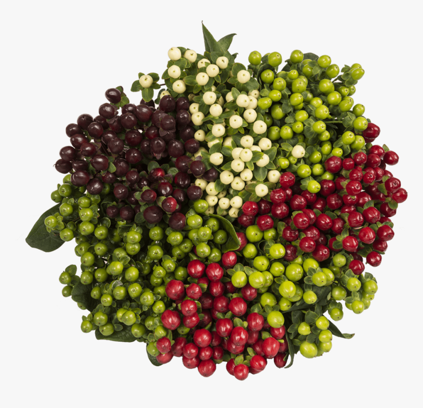 Seedless Fruit, HD Png Download