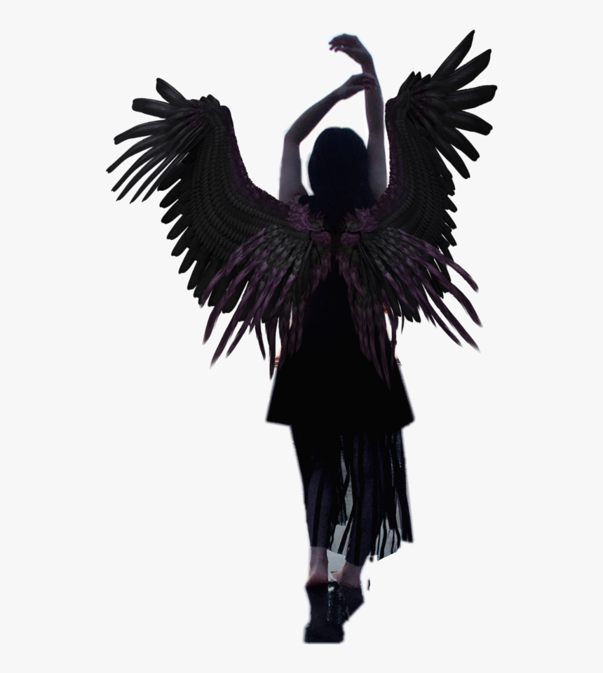 Transparent Raven Wings Png - Girls With Wings Png, Png Download