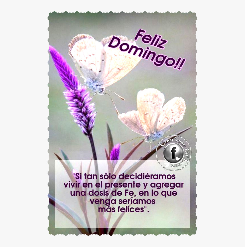 Paisagem Borboleta Joaninha, HD Png Download