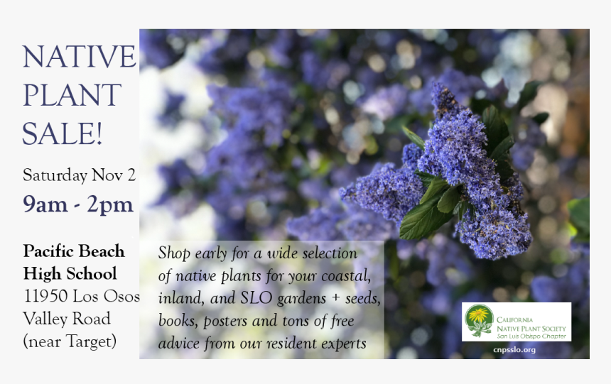 Plant Sale Announcement Volunteers Needed - Elm Green Preparatory School, HD Png Download