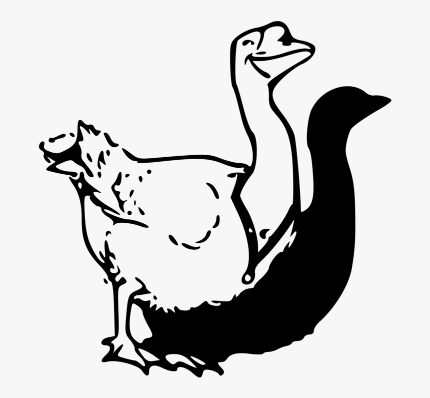 Fowl,goose,duck - Clip Art, HD Png Download