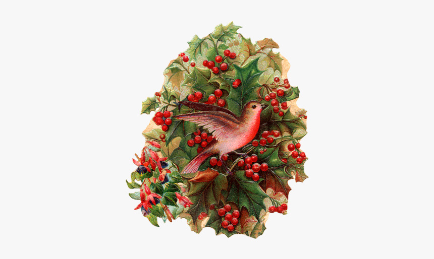 #christmas #bird #holly #berries #freetoedit - Rose Hip, HD Png Download