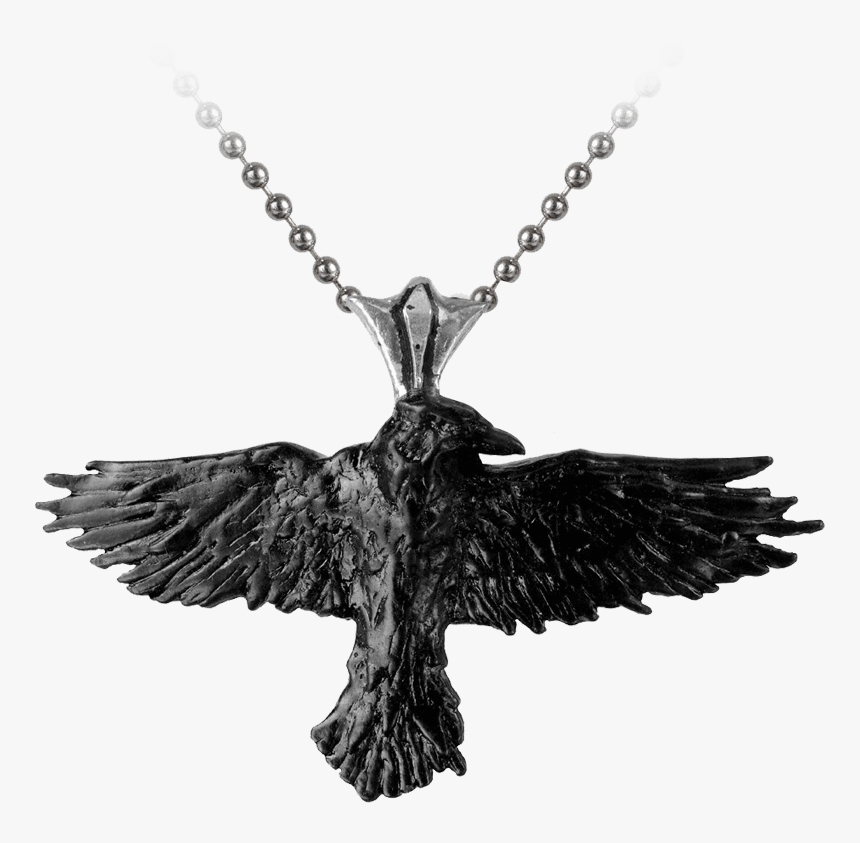 Black Raven Necklace - Corbeau Accessoire Cheveux, HD Png Download