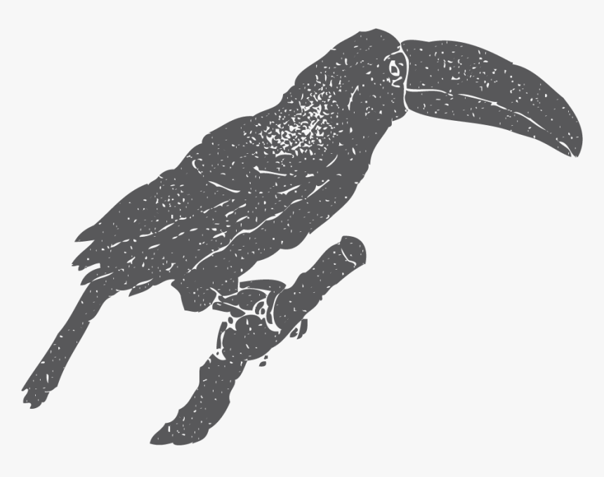 New Caledonian Crow, HD Png Download