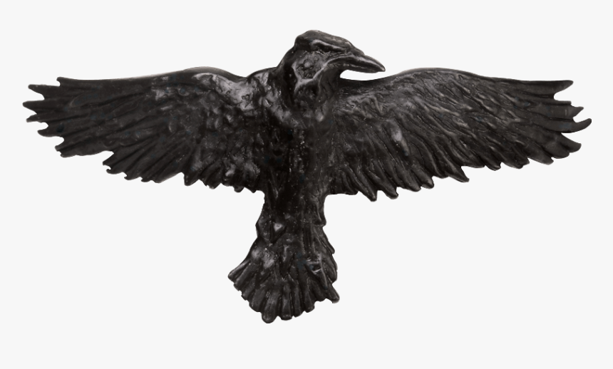 Black Raven Hair Clip - Gothic Raven Crow, HD Png Download