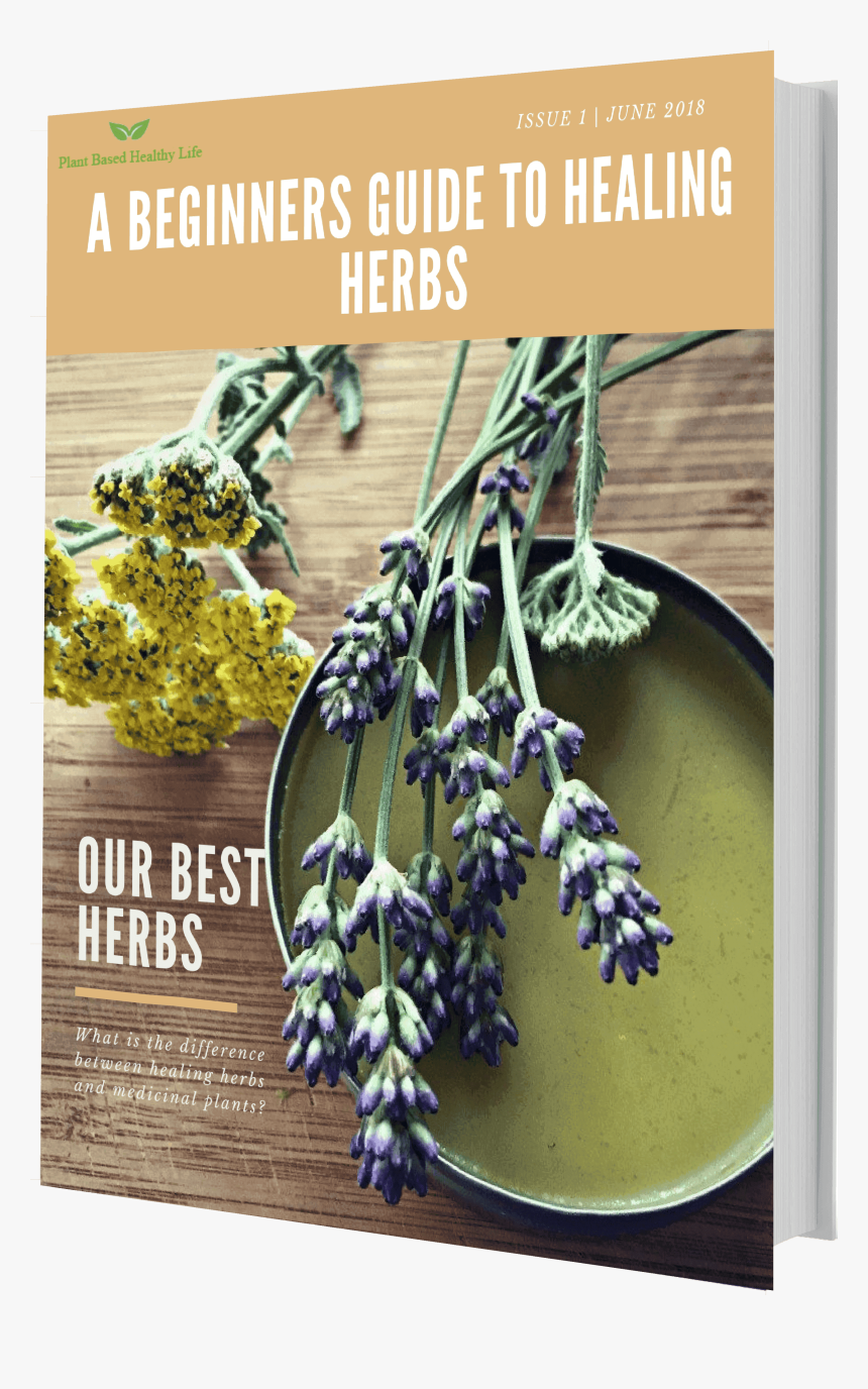 Transparent Wild Plants Png - Herbal Salve, Png Download