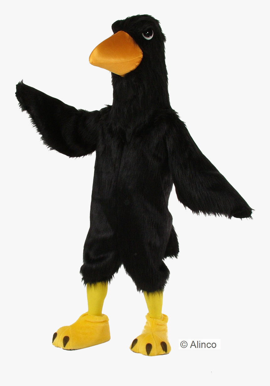 Disfraz De Pajaro Negro, HD Png Download