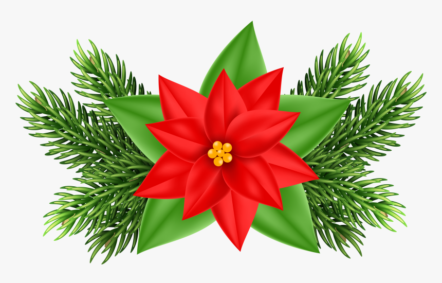 Christmas Poinsettia Deco Png Clip Art Imageu200b Gallery - Clip Art Christmas Poinsettia, Transparent Png
