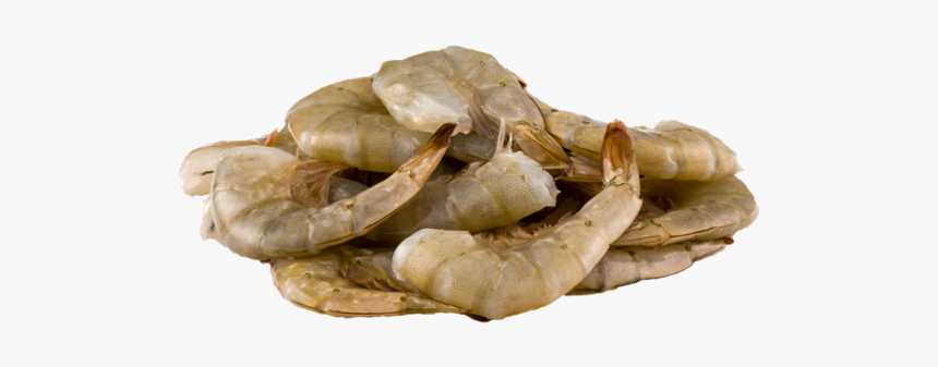 Scampi, HD Png Download