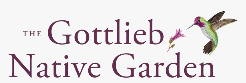 The Gottlieb Native Garden - Parfumerie Fragonard, HD Png Download