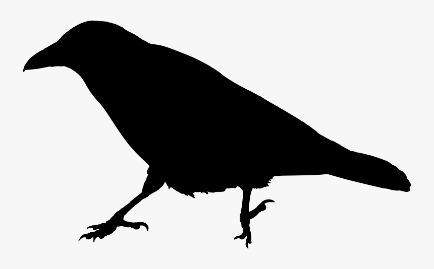 Clip Art Raven Silhouette, HD Png Download