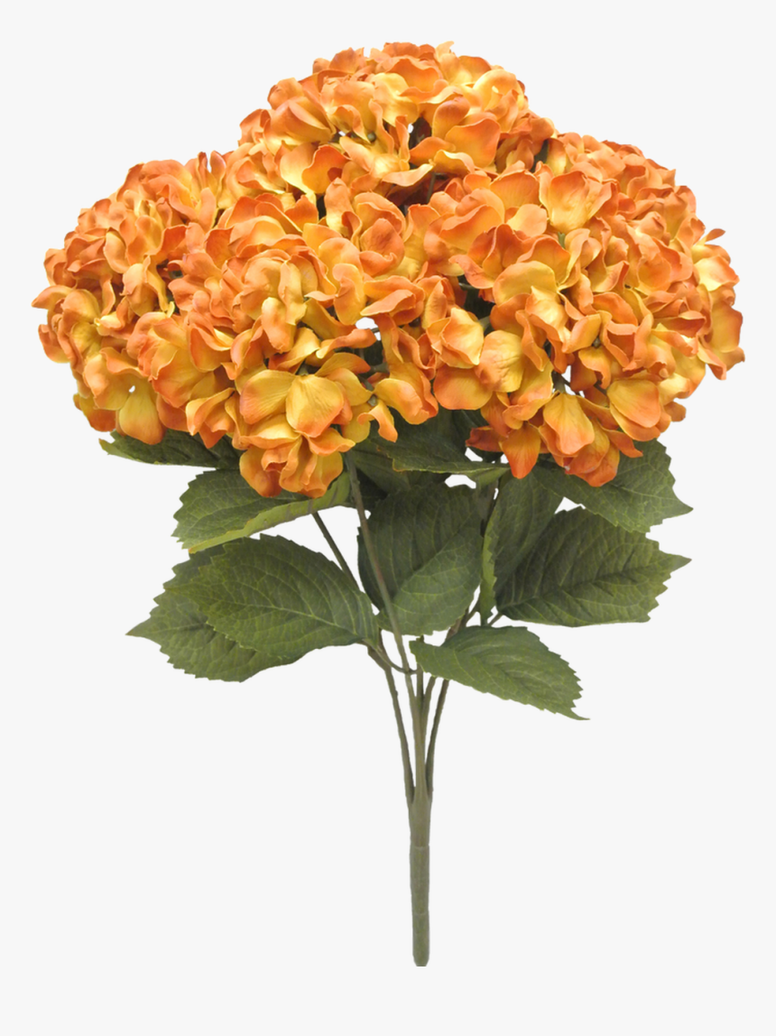 20 - Orange Hydrangea Png, Transparent Png