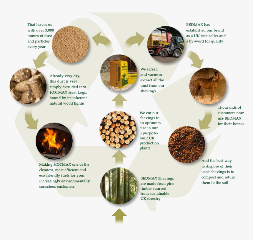 Tree, HD Png Download