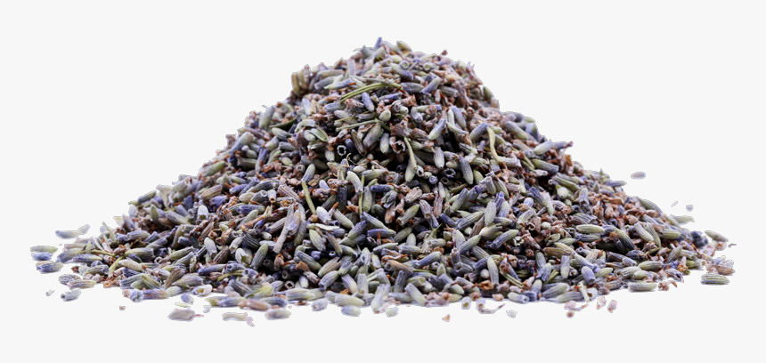 Lavender 1 Lb - Sesame, HD Png Download