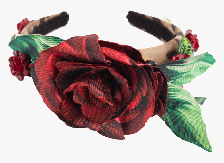 Garden Roses, HD Png Download