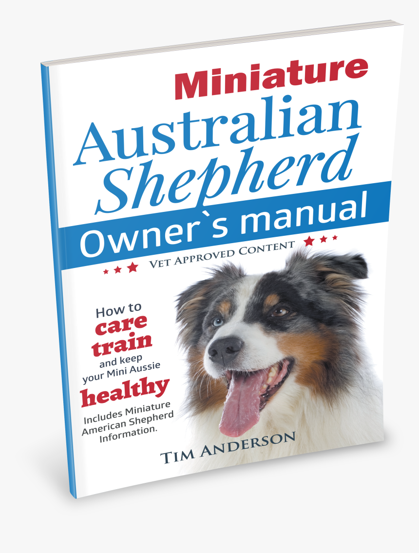 Miniature Australian Shepherd Owner S Manual - Dog Catches Something, HD Png Download