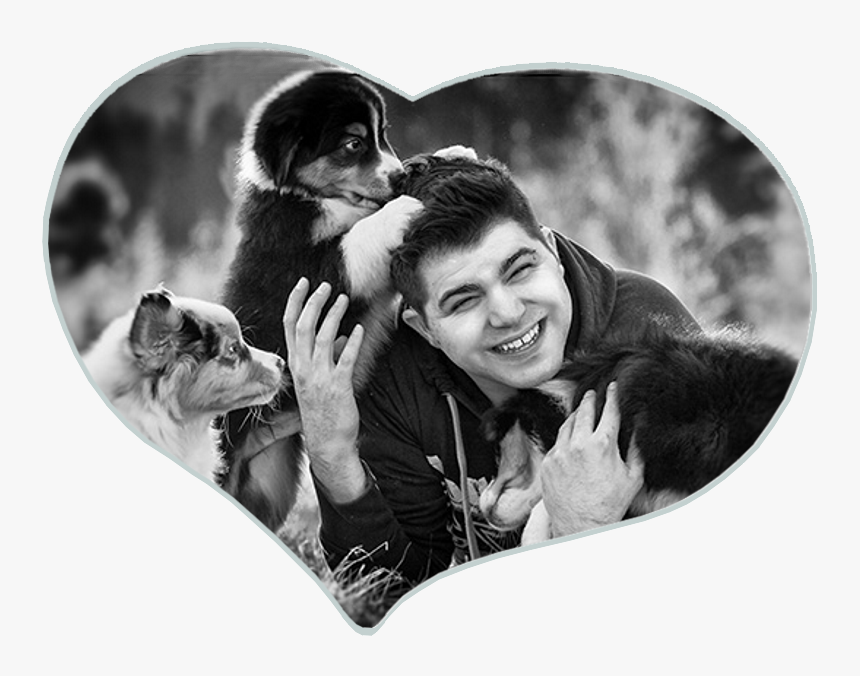 Love, HD Png Download