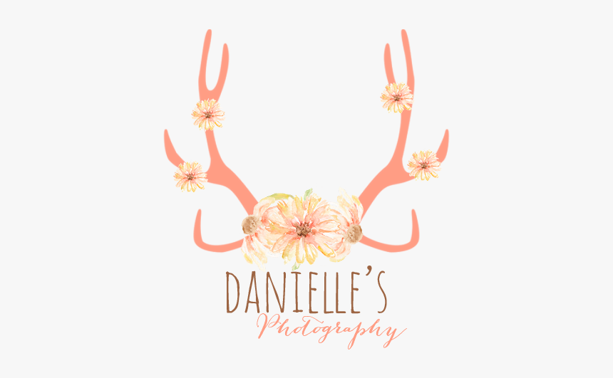 Flower Antler Transparent, HD Png Download