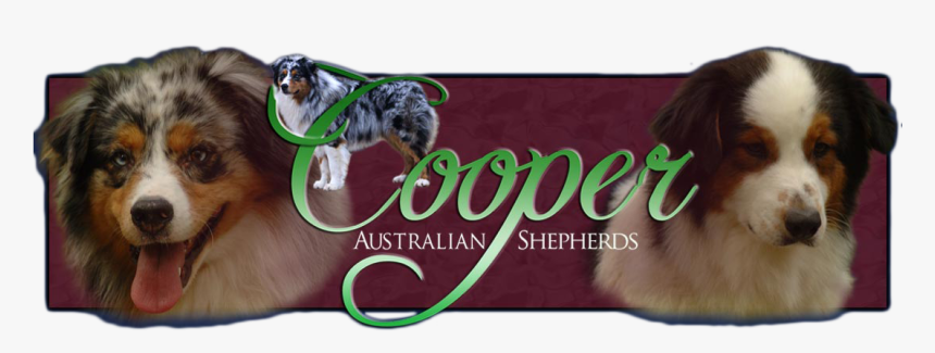 Logo - Australian Shepherd, HD Png Download