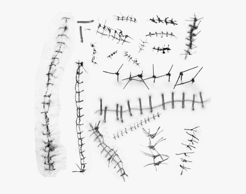 Handwriting, HD Png Download