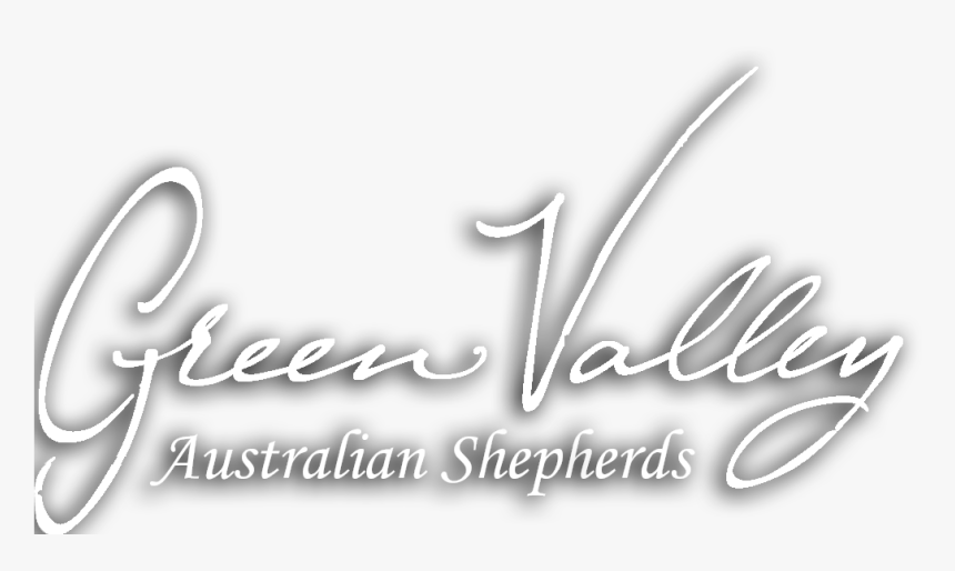 Australian Shepherd, Australian Shepherds In Utah - Calligraphy, HD Png Download