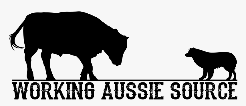 Image - Australian Shepherd Herding Silhouette, HD Png Download