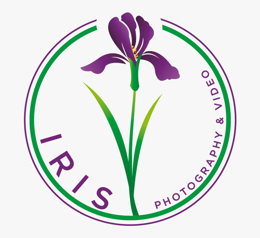 Purple Iris Png - Iris, Transparent Png