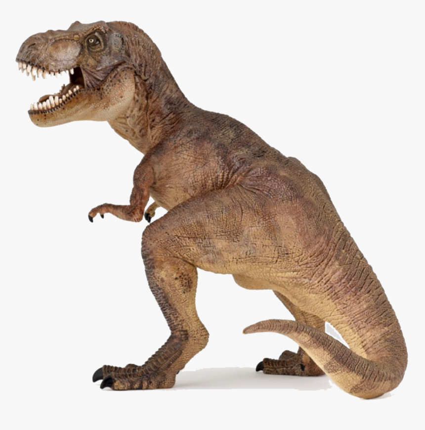 Dinosaur Tyrannosaurus Rex Yangchuanosaurus Carnivore - Colour Is At Rex, HD Png Download