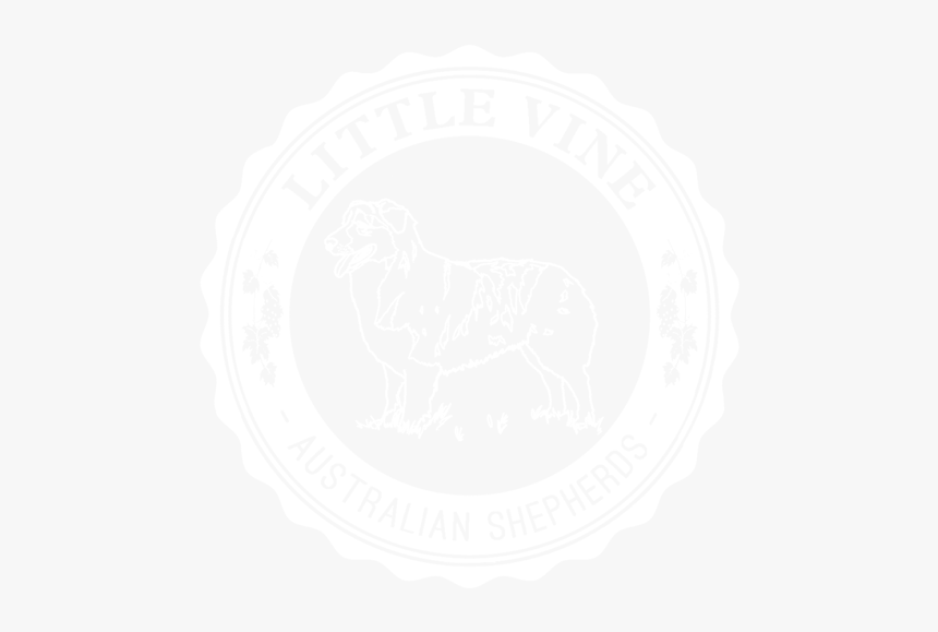 Little Vine Australian Shepherds - Instagram, HD Png Download