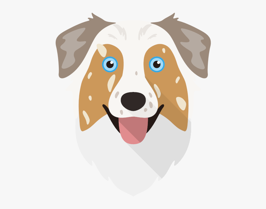 Australian Shepherd, HD Png Download
